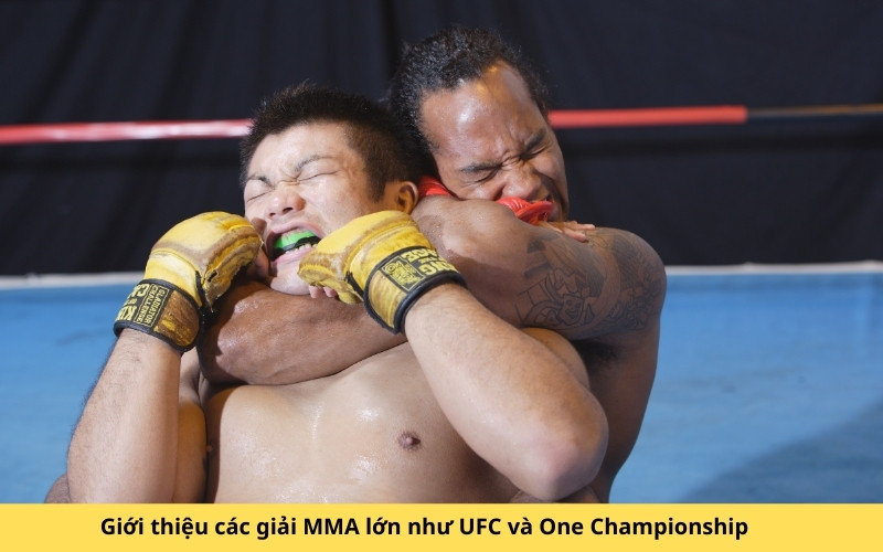 Giới thiệu các giải MMA lớn như UFC và One Championship