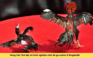 Hùng Cần Thơ bật mí kinh nghiệm chơi đá gà online ở Kingbet86
