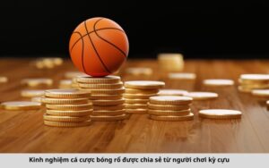 Kinh nghiệm cá cược bóng rổ được chia sẻ từ người chơi kỳ cựu