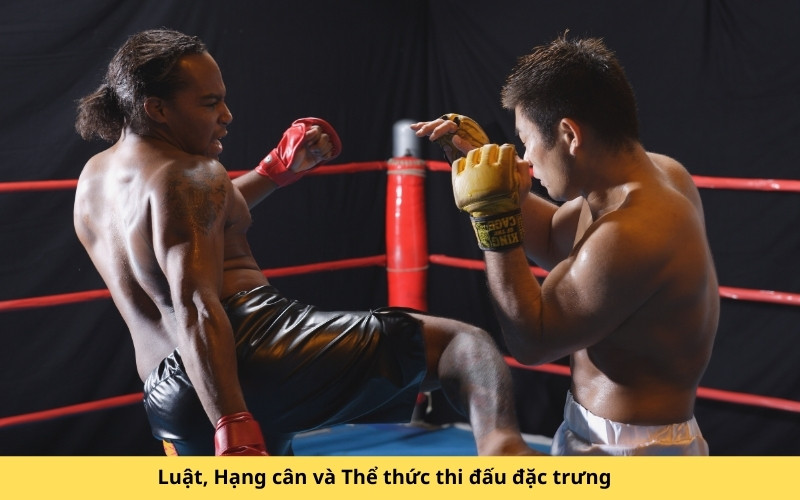 Luật, Hạng cân và Thể thức thi đấu đặc trưng